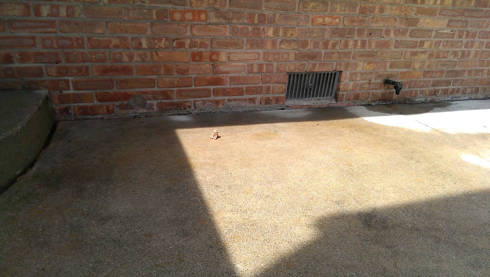 A level slab along the foundation